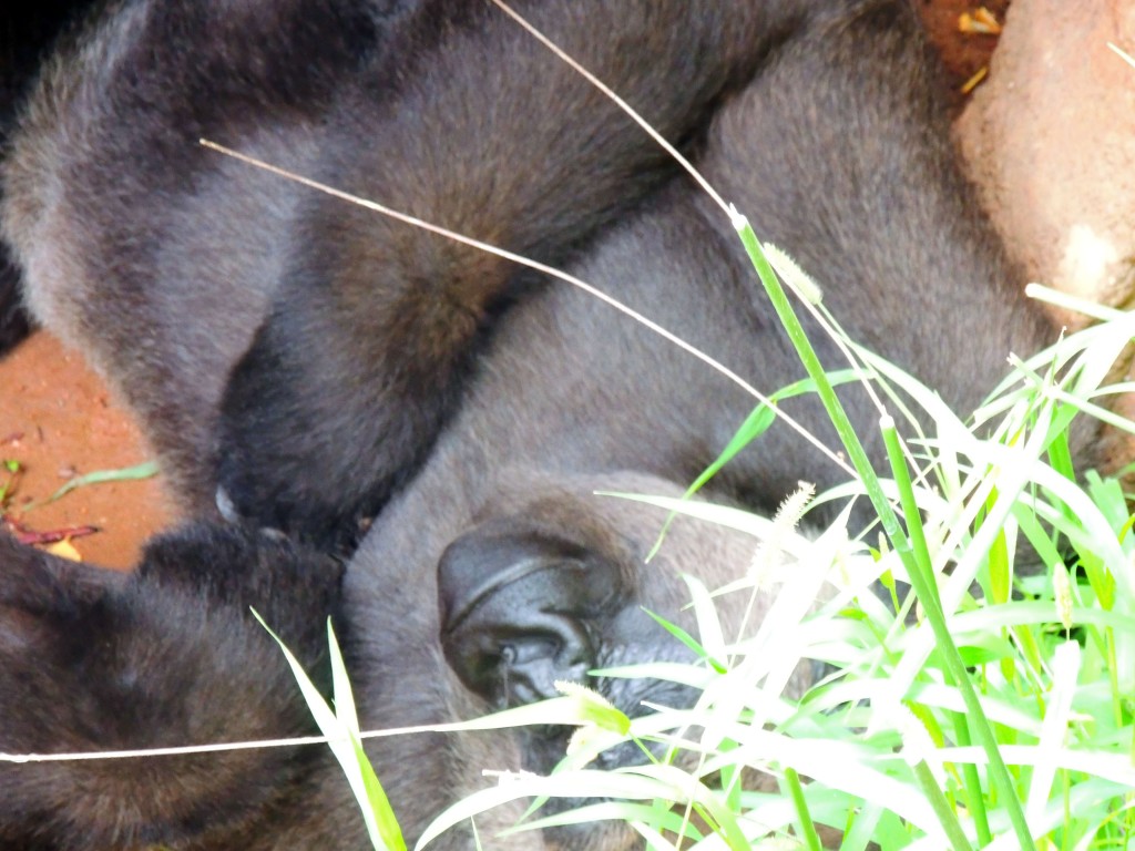 Foto de Fuengirola (Málaga), España