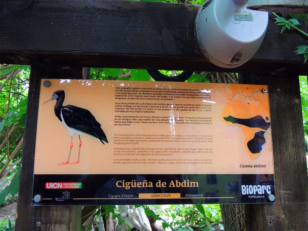 Foto de Fuengirola (Málaga), España