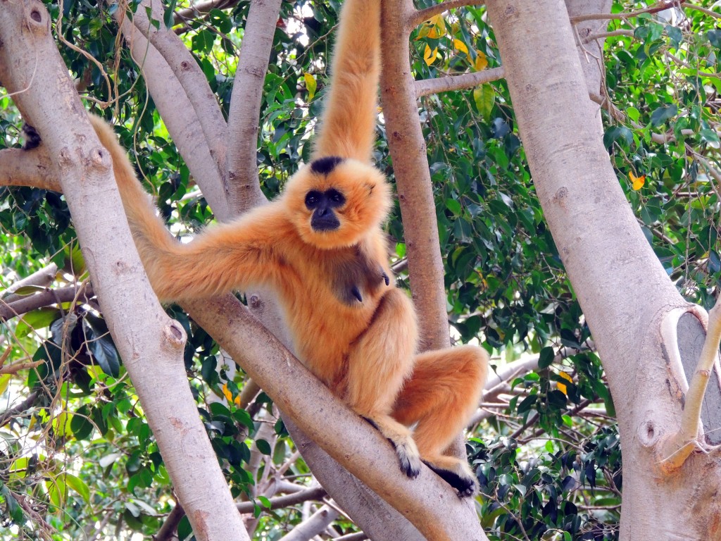 Foto de Fuengirola (Málaga), España
