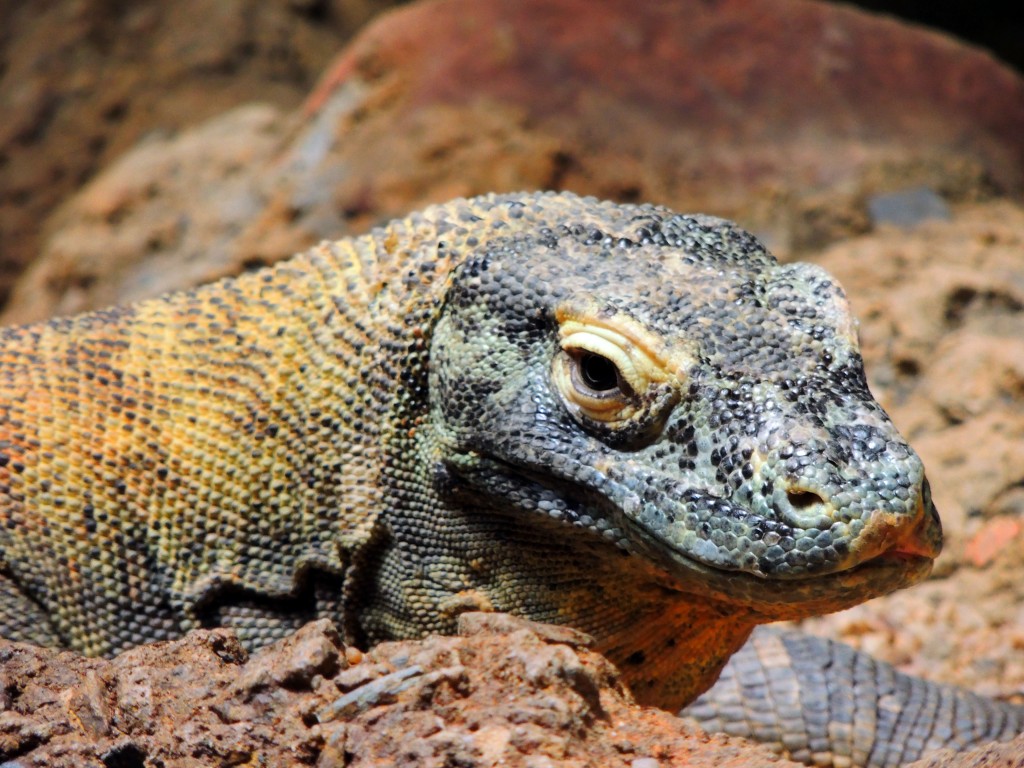 Foto de Fuengirola (Málaga), España