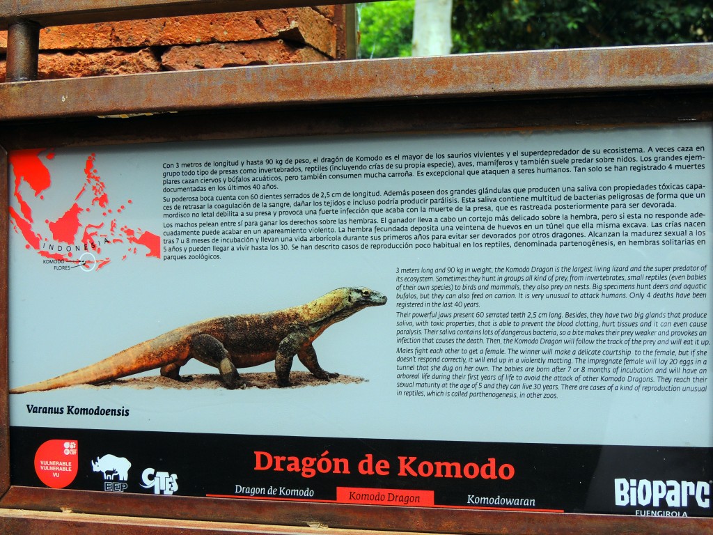 Foto de Fuengirola (Málaga), España