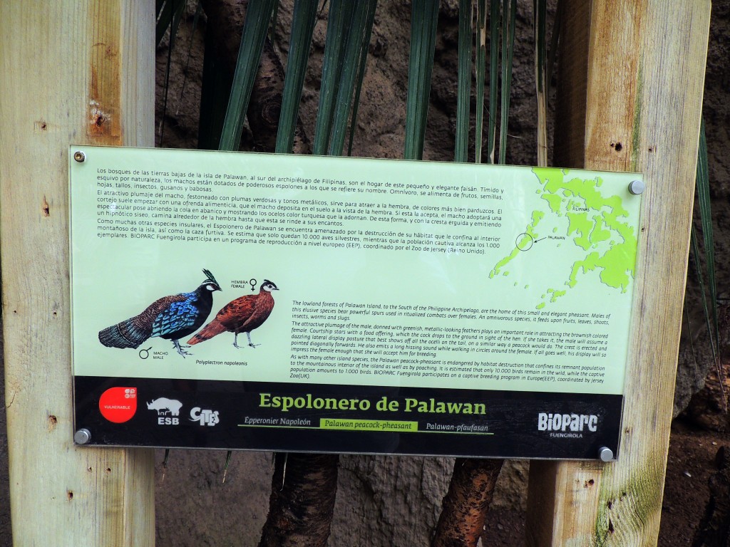 Foto de Fuengirola (Málaga), España