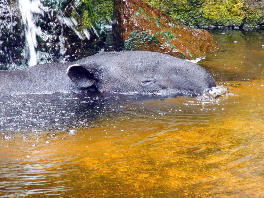Foto de Fuengirola (Málaga), España