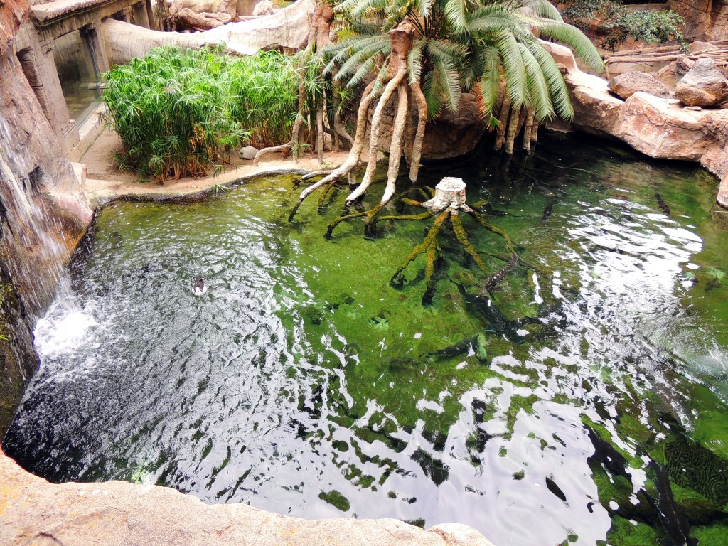 Foto de Fuengirola (Málaga), España
