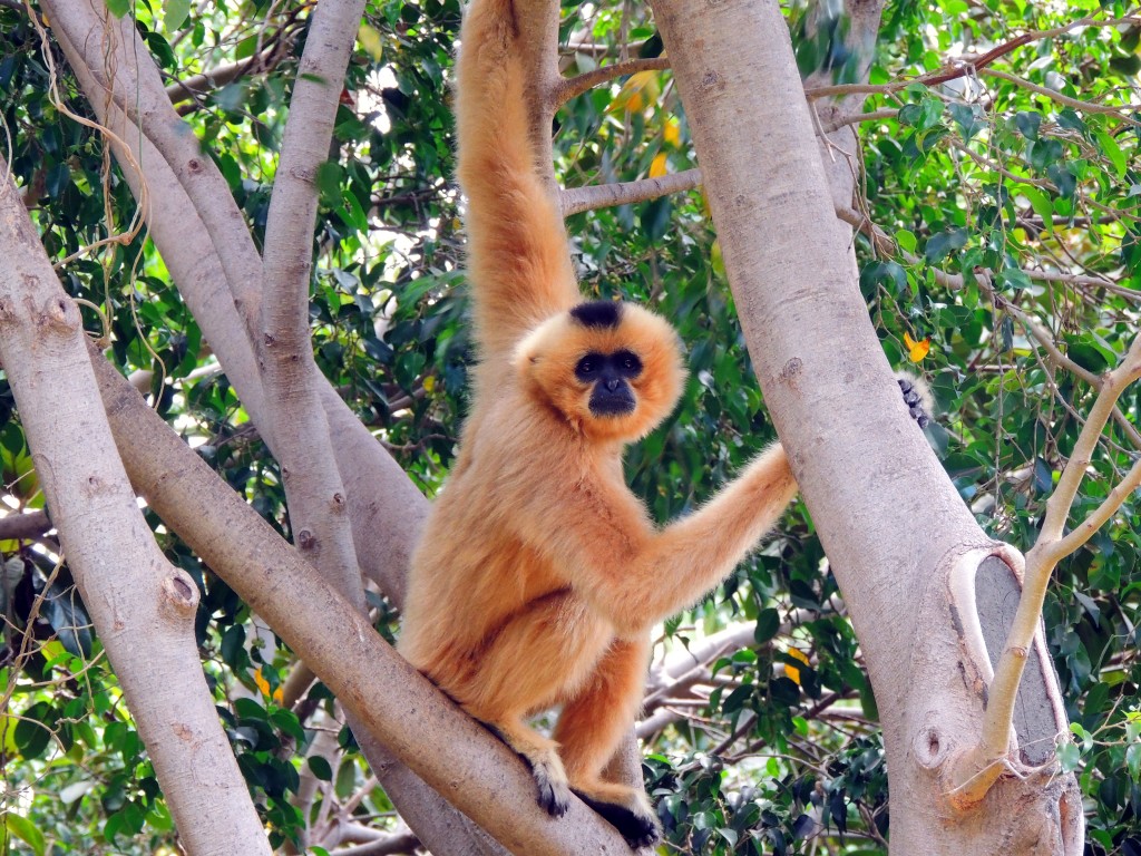 Foto de Fuengirola (Málaga), España