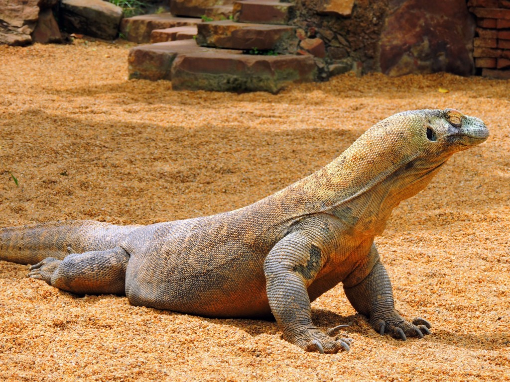 Foto de Fuengirola (Málaga), España