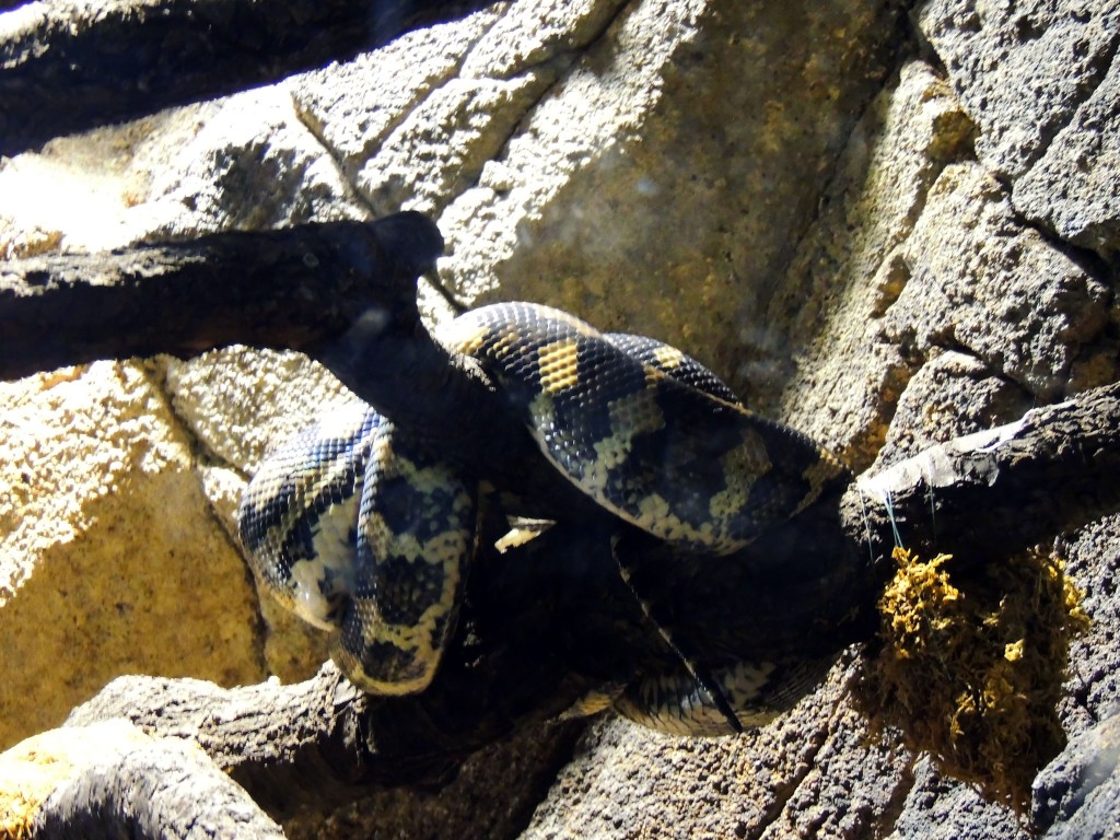 Foto de Fuengirola (Málaga), España