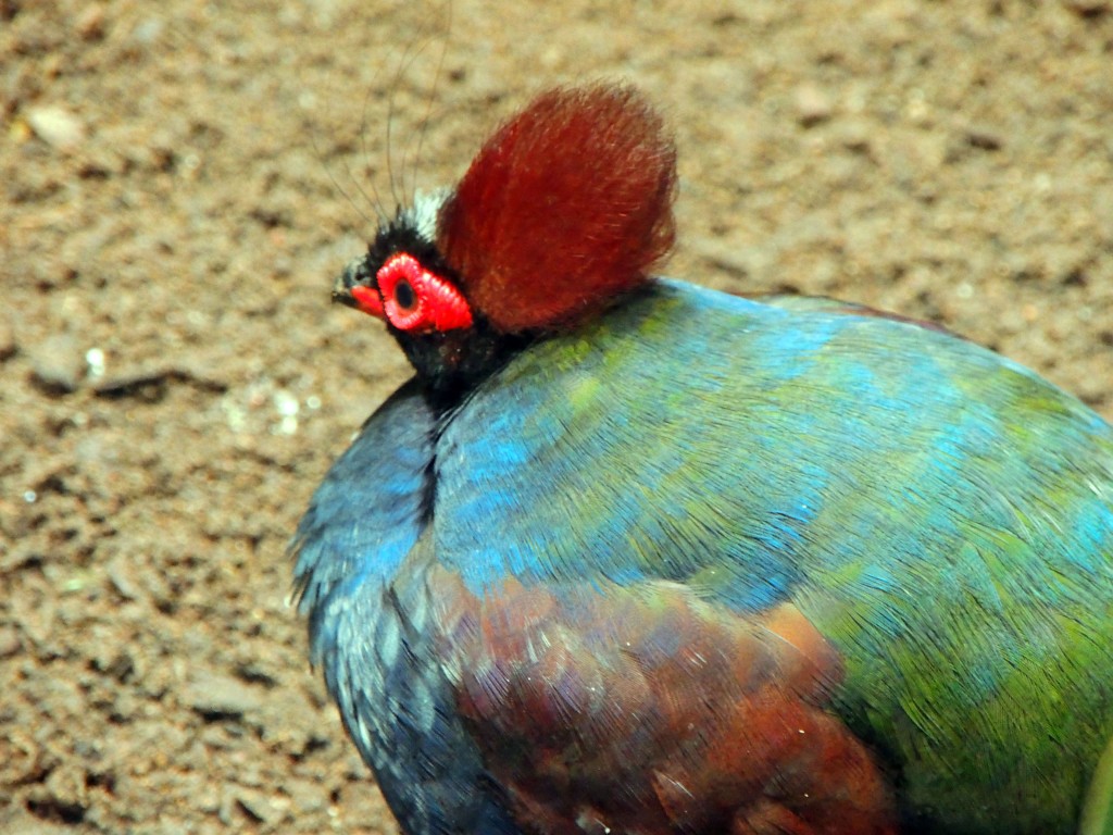 Foto de Fuengirola (Málaga), España