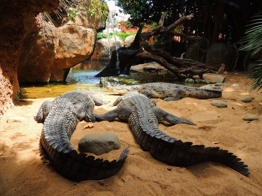 Foto de Fuengirola (Málaga), España