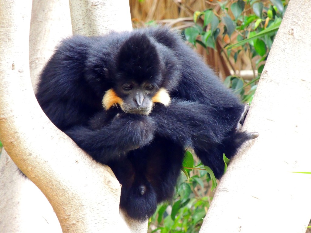 Foto de Fuengirola (Málaga), España