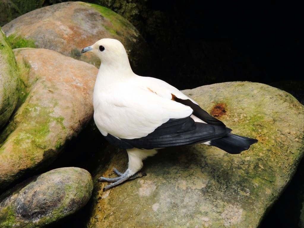 Foto de Fuengirola (Málaga), España