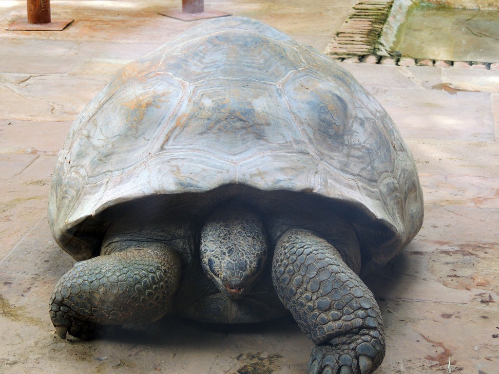 Foto de Fuengirola (Málaga), España