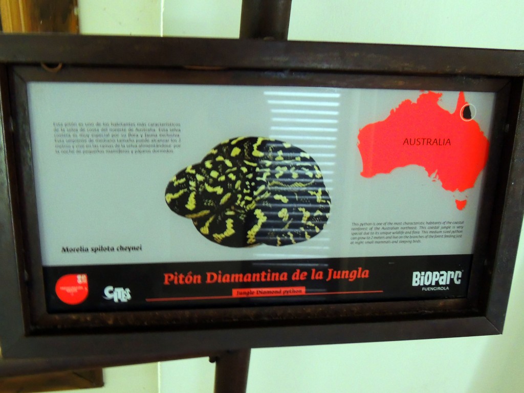 Foto de Fuengirola (Málaga), España