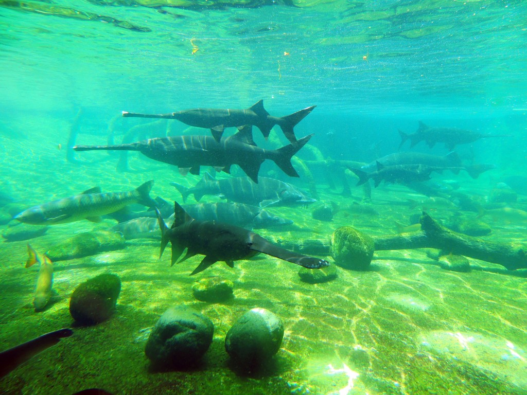 Foto de Fuengirola (Málaga), España