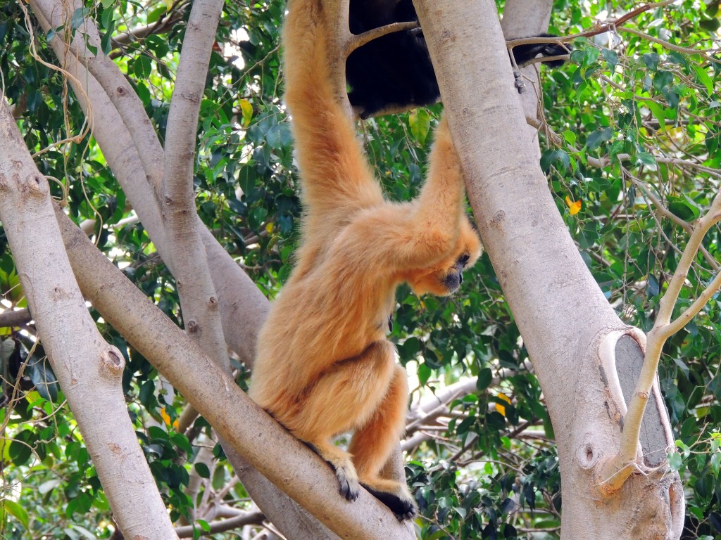 Foto de Fuengirola (Málaga), España