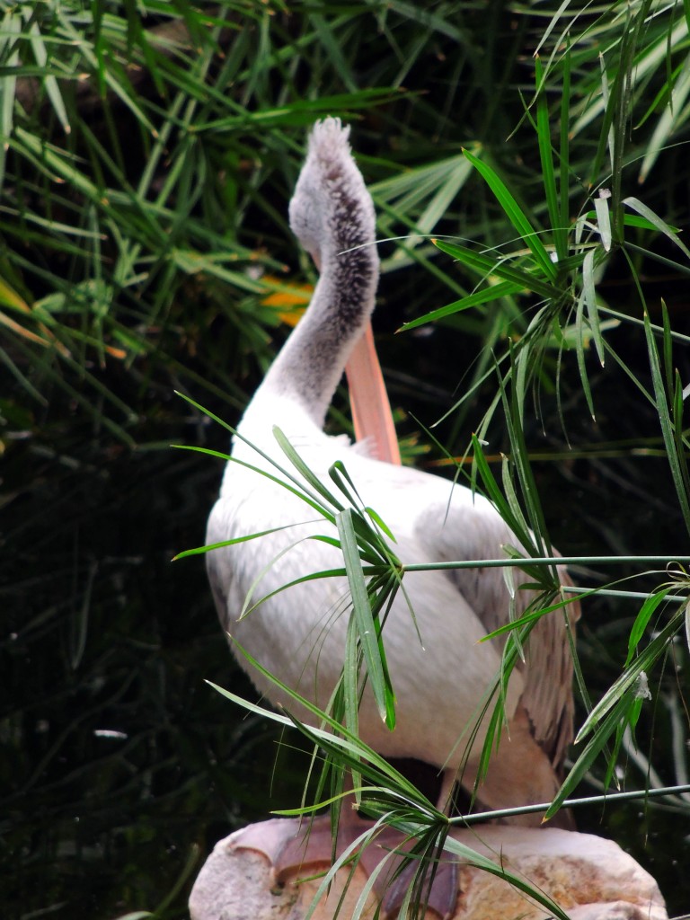 Foto de Fuengirola (Málaga), España