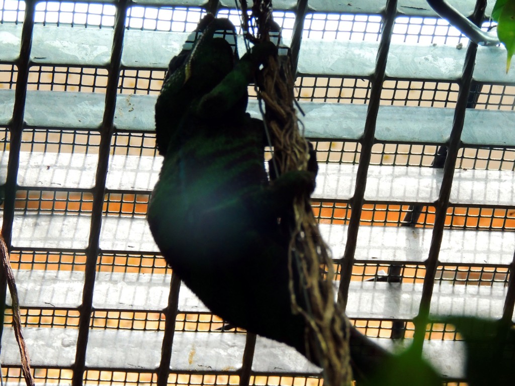 Foto de Fuengirola (Málaga), España