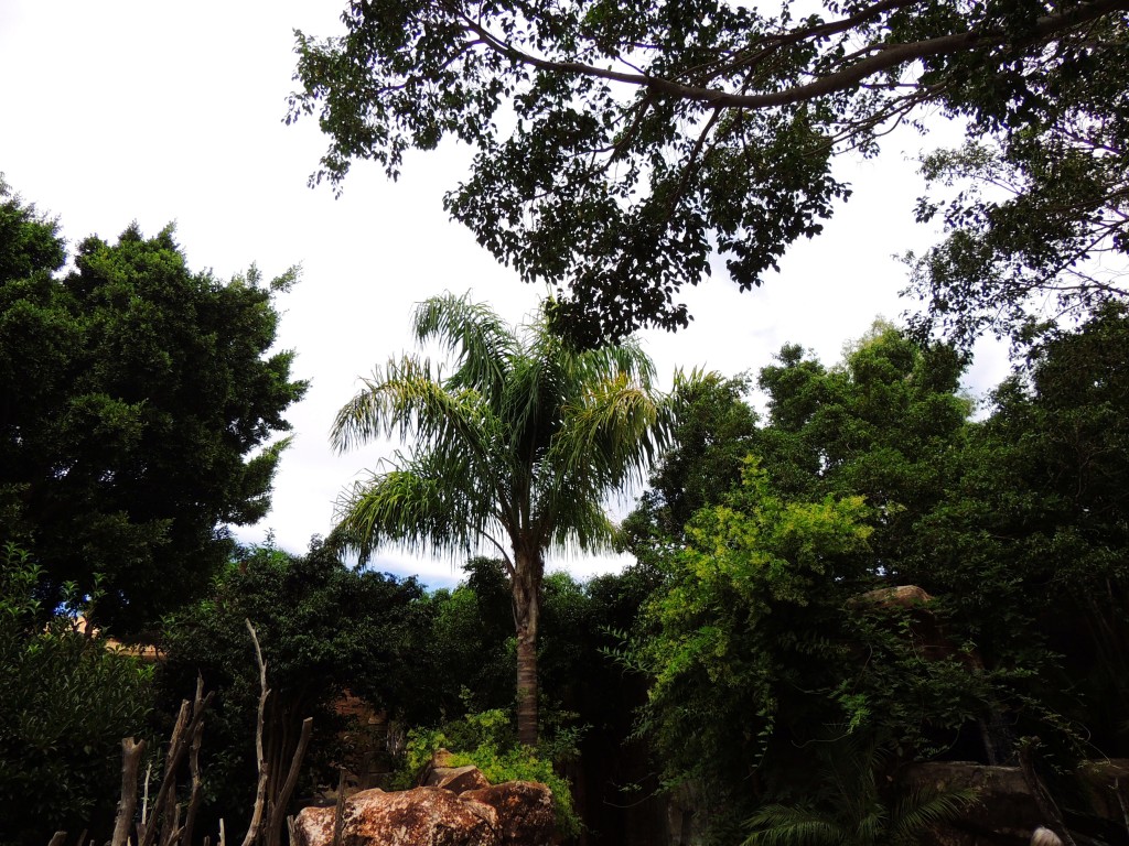 Foto de Fuengirola (Málaga), España