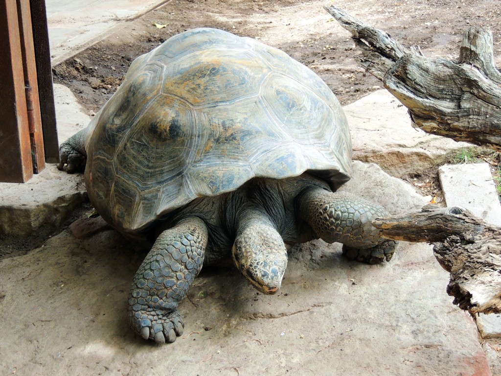 Foto de Fuengirola (Málaga), España