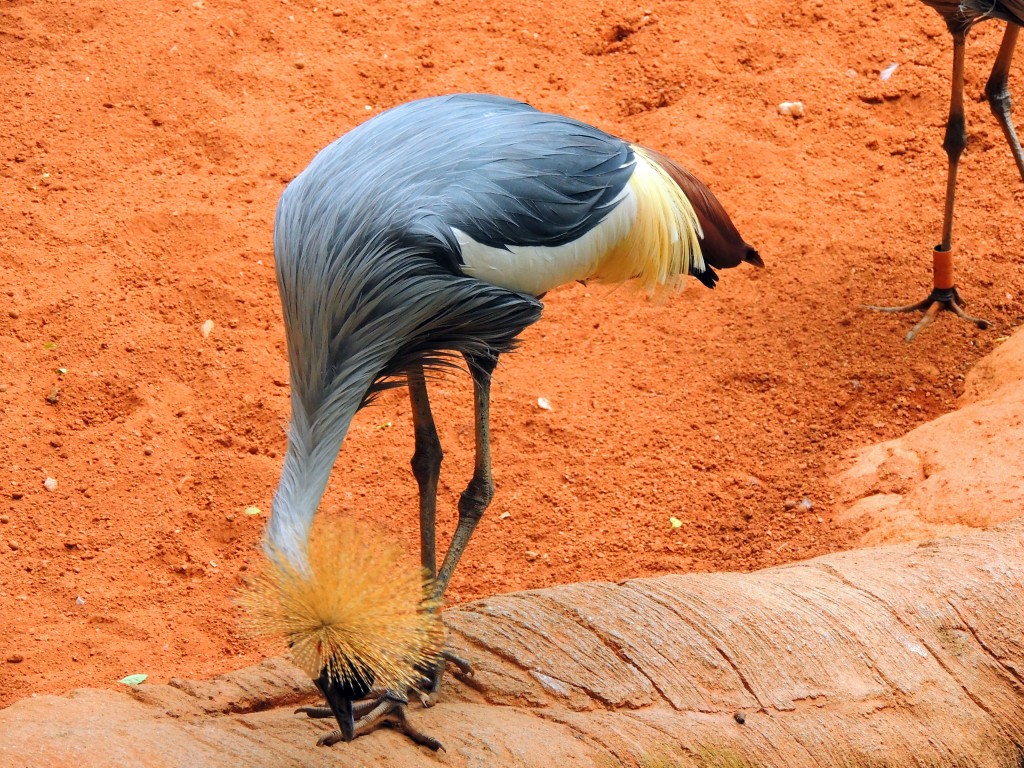 Foto de Fuengirola (Málaga), España