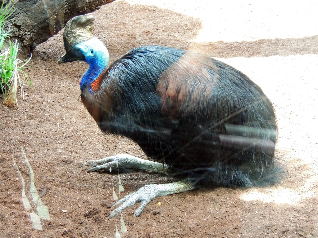 Foto de Fuengirola (Málaga), España