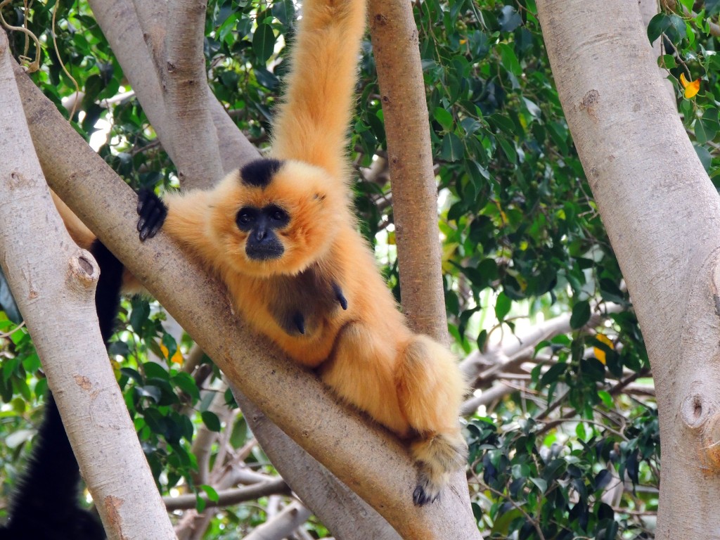 Foto de Fuengirola (Málaga), España