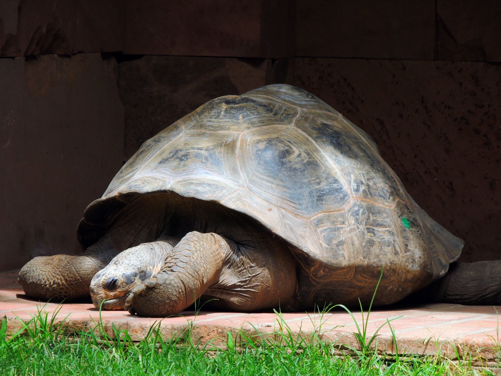 Foto de Fuengirola (Málaga), España