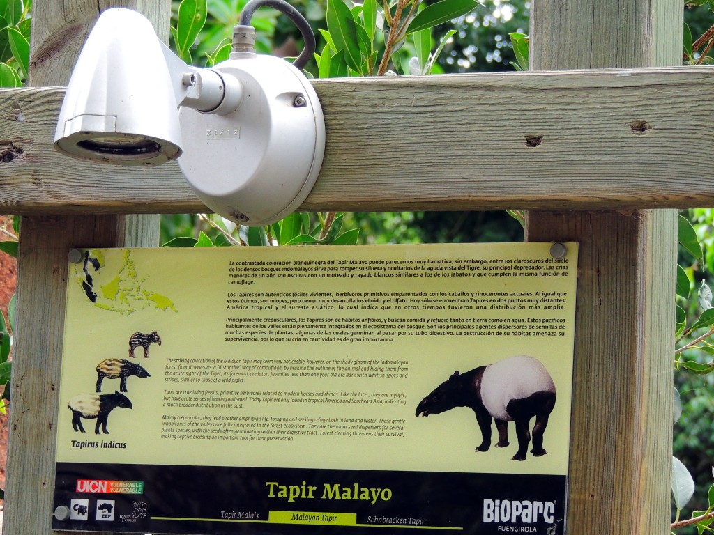 Foto de Fuengirola (Málaga), España