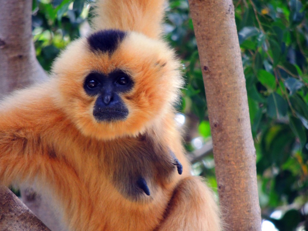 Foto de Fuengirola (Málaga), España