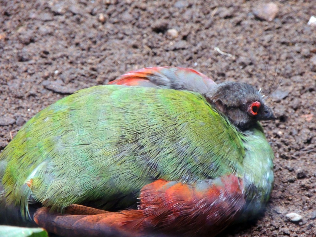 Foto de Fuengirola (Málaga), España