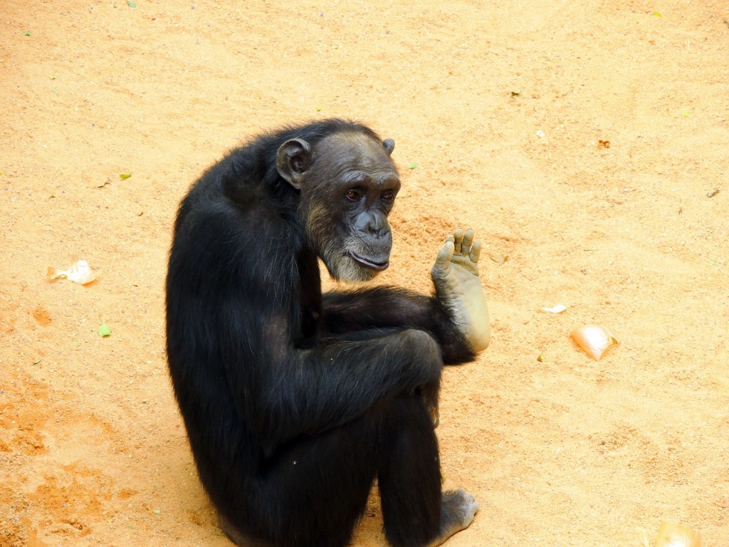 Foto de Fuengirola (Málaga), España