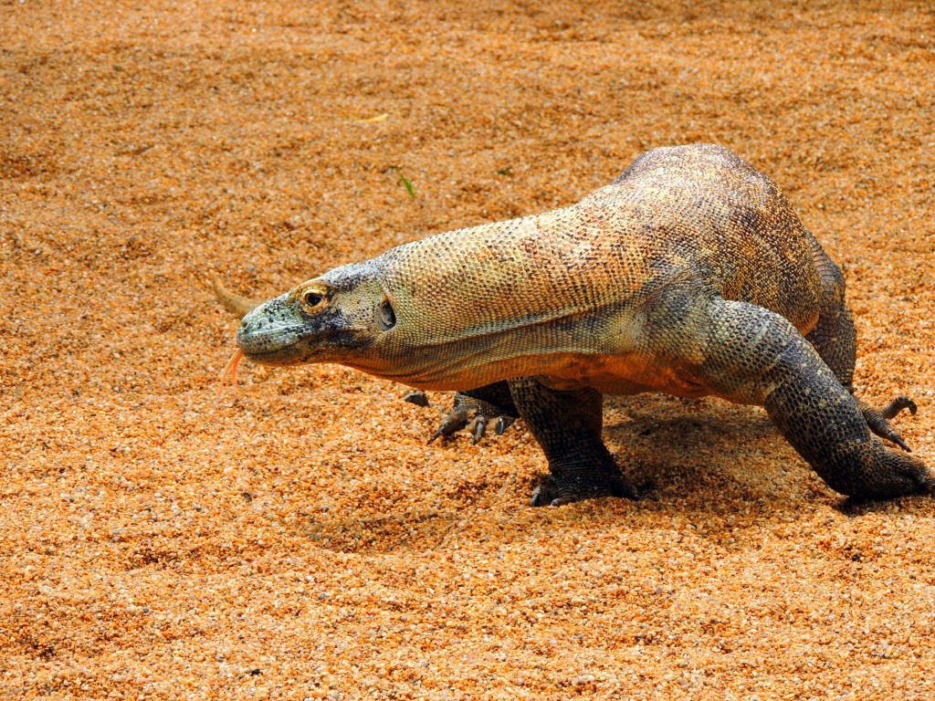 Foto de Fuengirola (Málaga), España