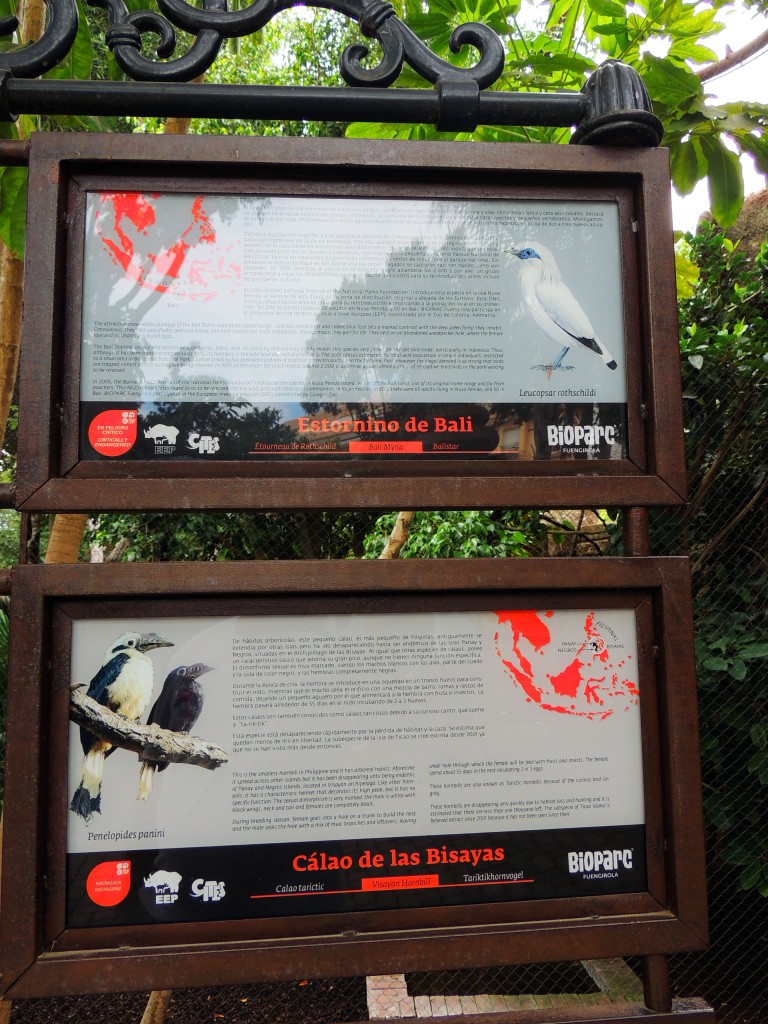 Foto de Fuengirola (Málaga), España