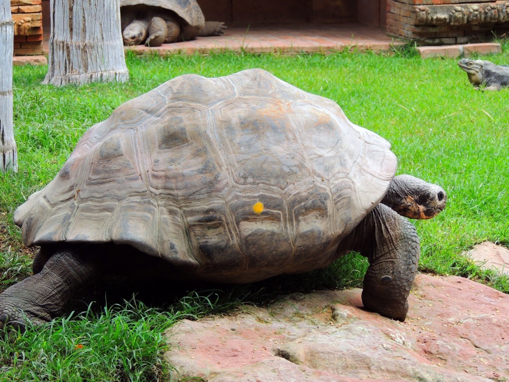 Foto de Fuengirola (Málaga), España