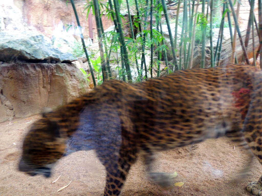 Foto de Fuengirola (Málaga), España