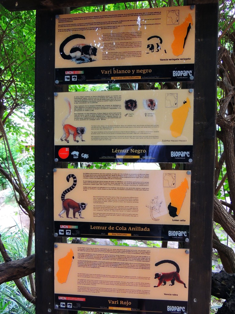 Foto de Fuengirola (Málaga), España