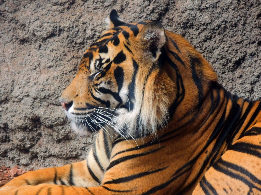 Foto de Fuengirola (Málaga), España