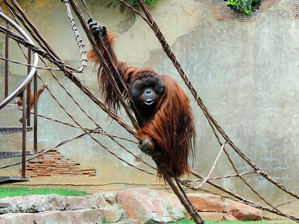 Foto de Fuengirola (Málaga), España