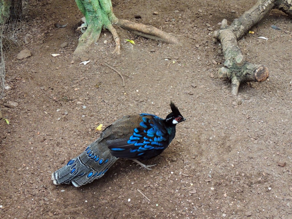 Foto de Fuengirola (Málaga), España