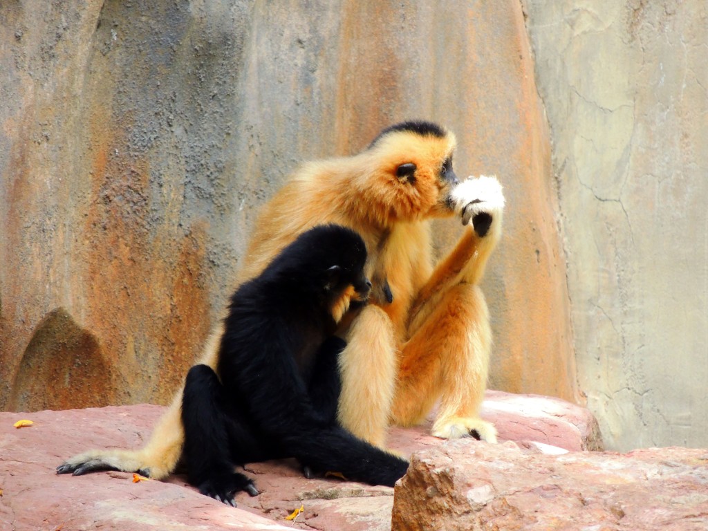 Foto de Fuengirola (Málaga), España