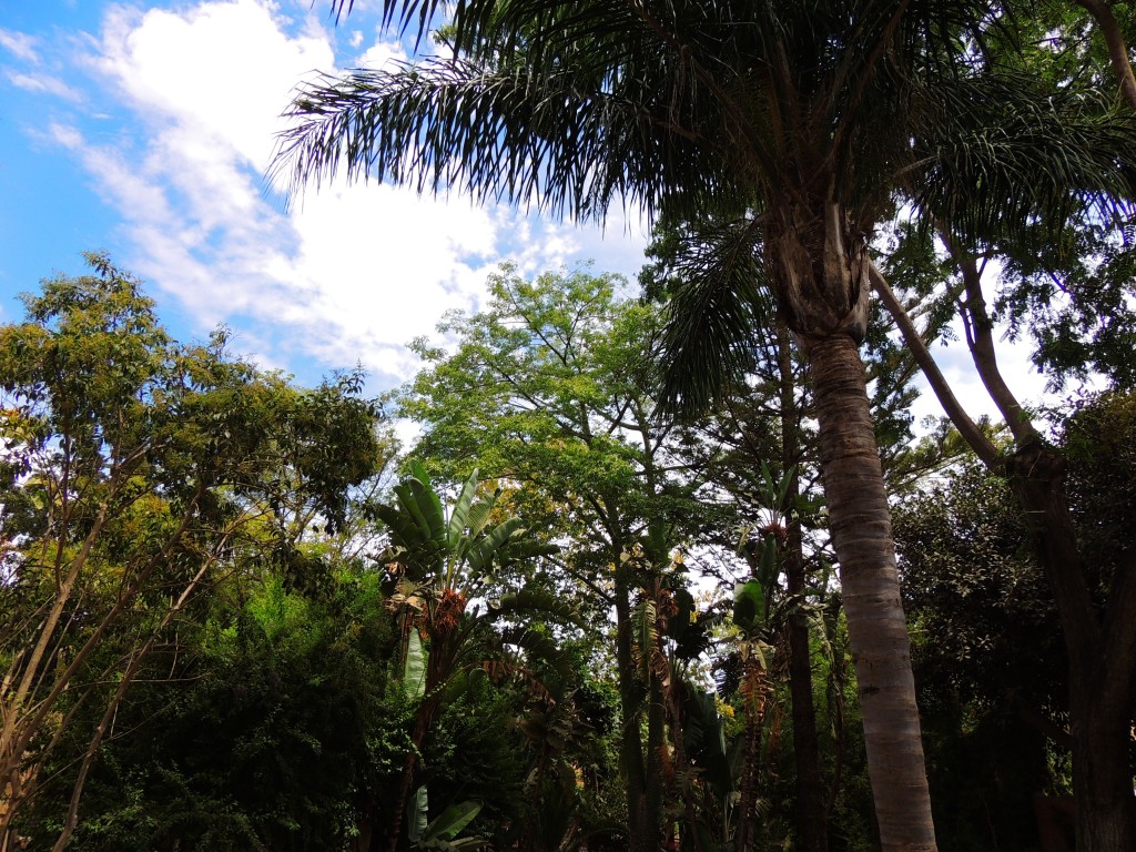 Foto de Fuengirola (Málaga), España