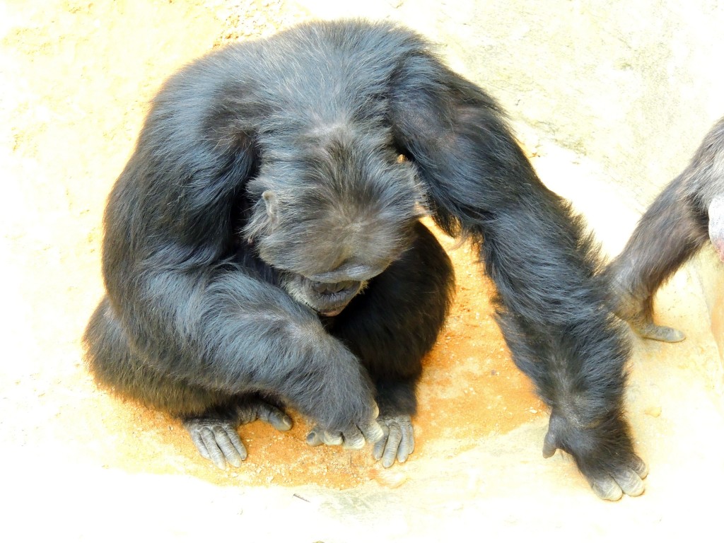 Foto de Fuengirola (Málaga), España
