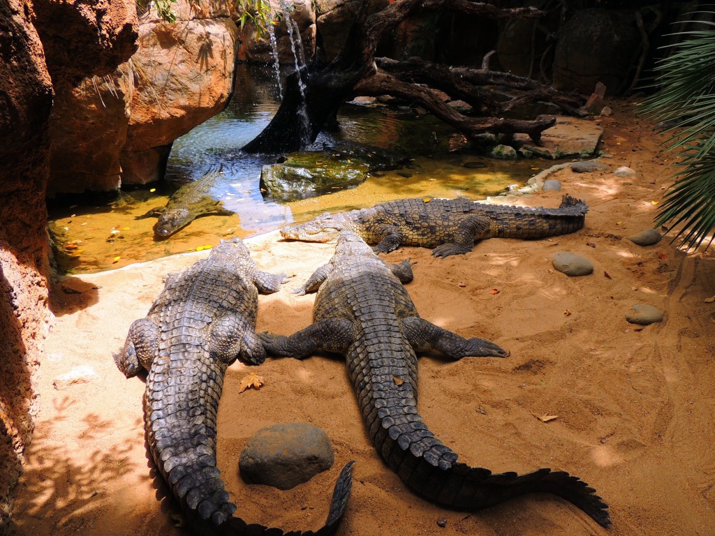 Foto de Fuengirola (Málaga), España
