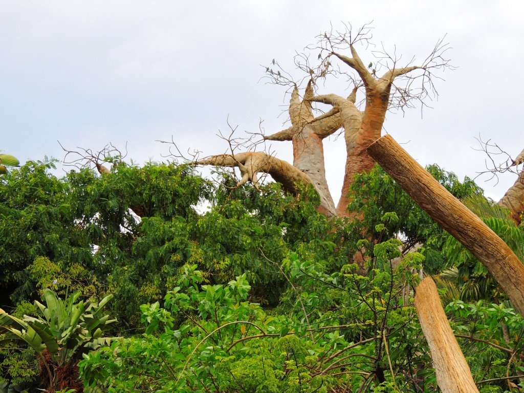 Foto de Fuengirola (Málaga), España