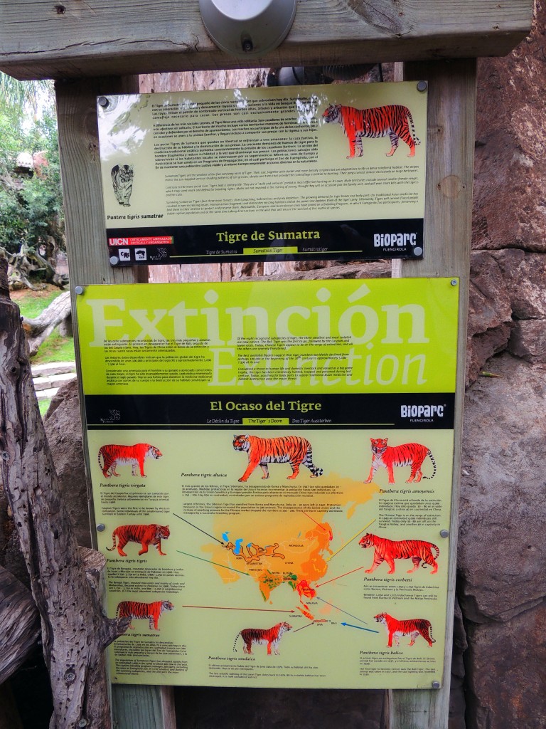 Foto de Fuengirola (Málaga), España