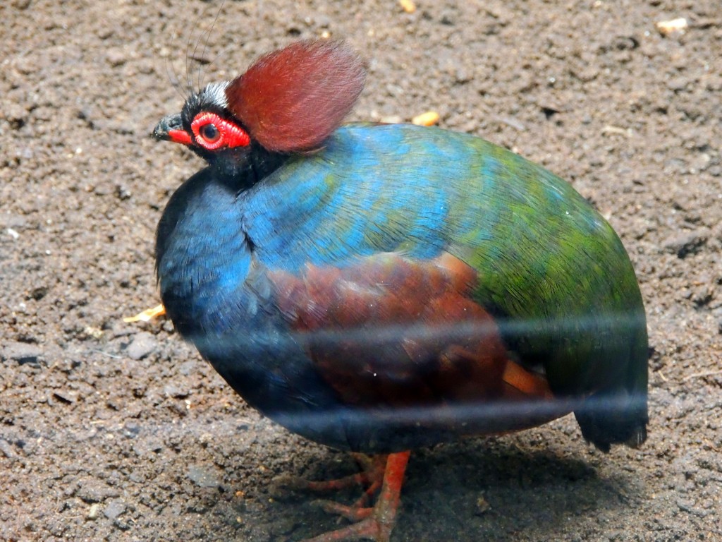 Foto de Fuengirola (Málaga), España