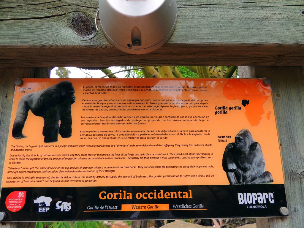 Foto de Fuengirola (Málaga), España