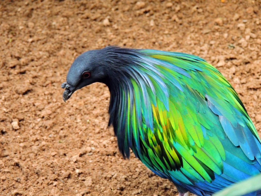 Foto de Fuengirola (Málaga), España