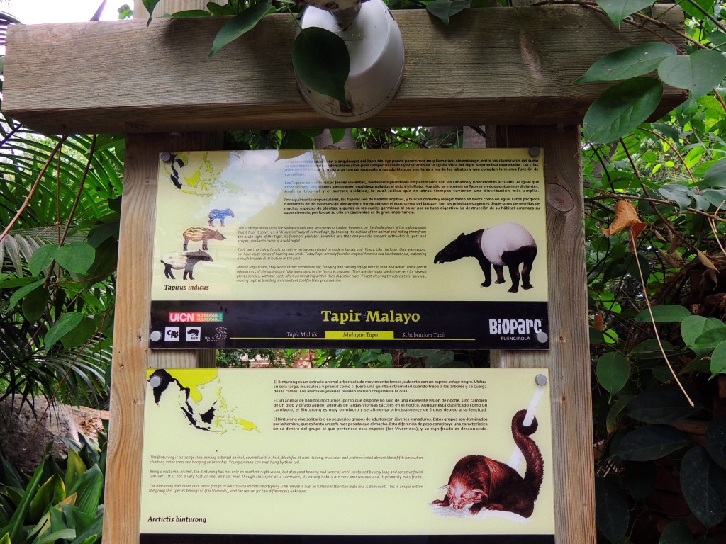 Foto de Fuengirola (Málaga), España