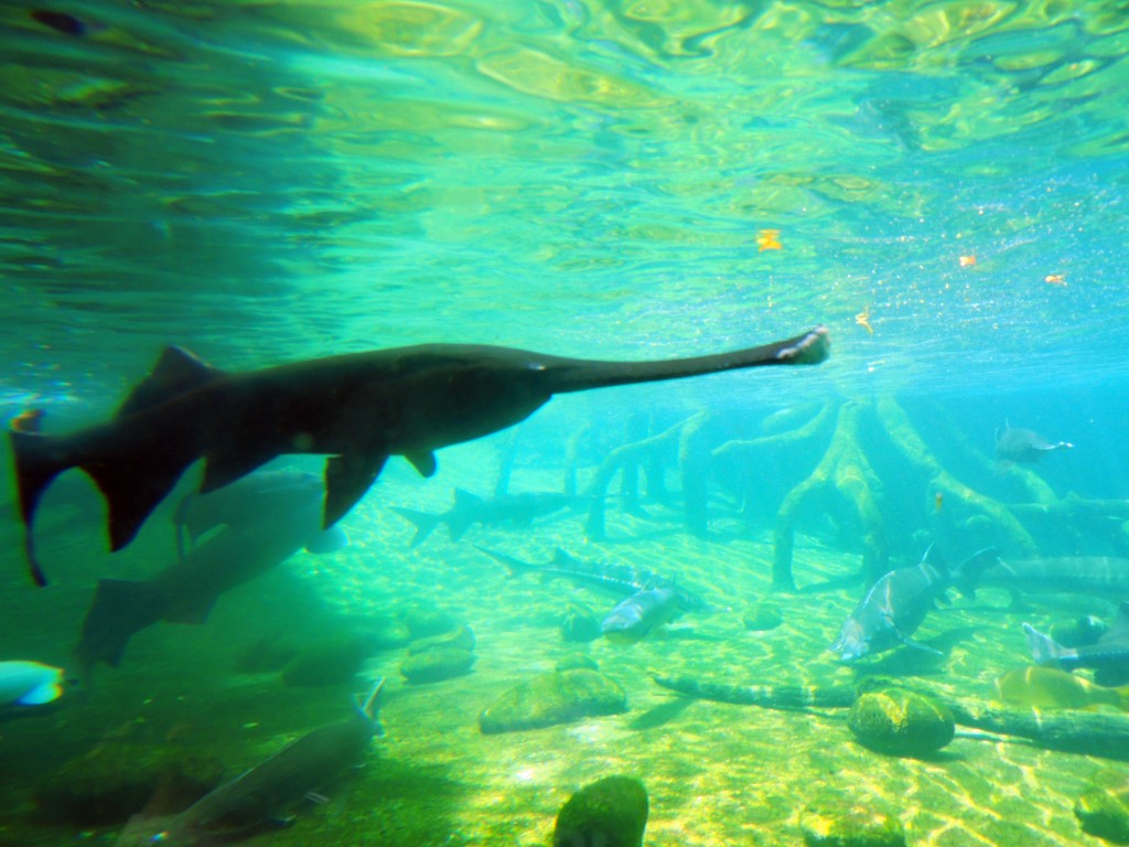 Foto de Fuengirola (Málaga), España